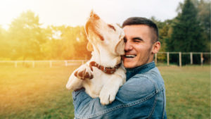 Florida Divorce with Pets